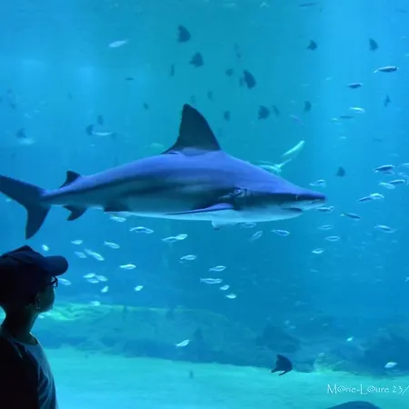 La Cachette Du G בית נופש *