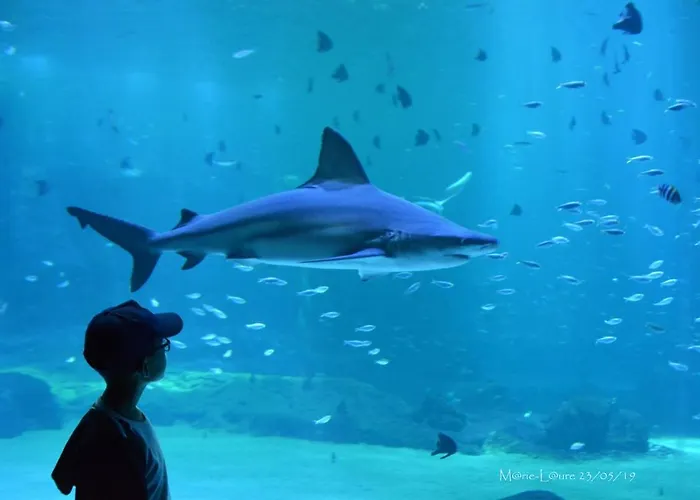 La Cachette Du G בית נופש *